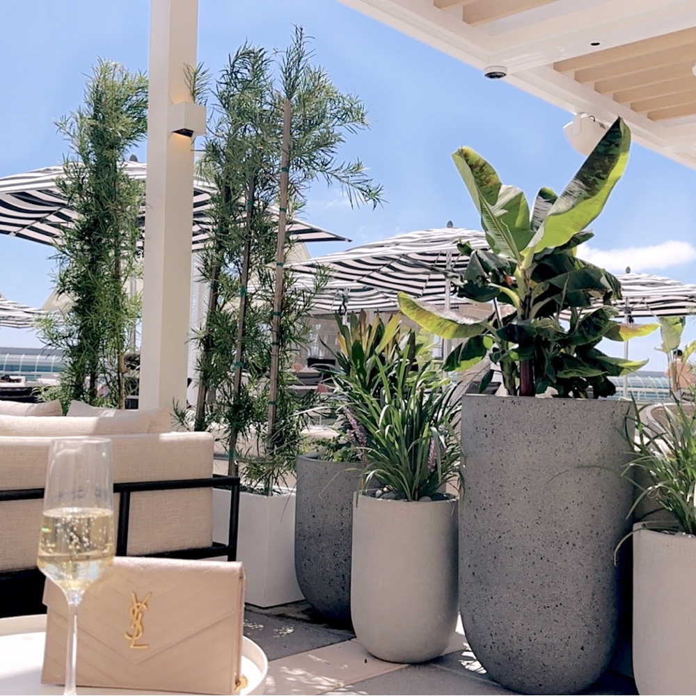 Meet your Posher, Phin